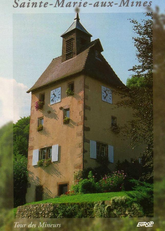 Les Lilas Sainte-Marie-aux-Mines Kültér fotó