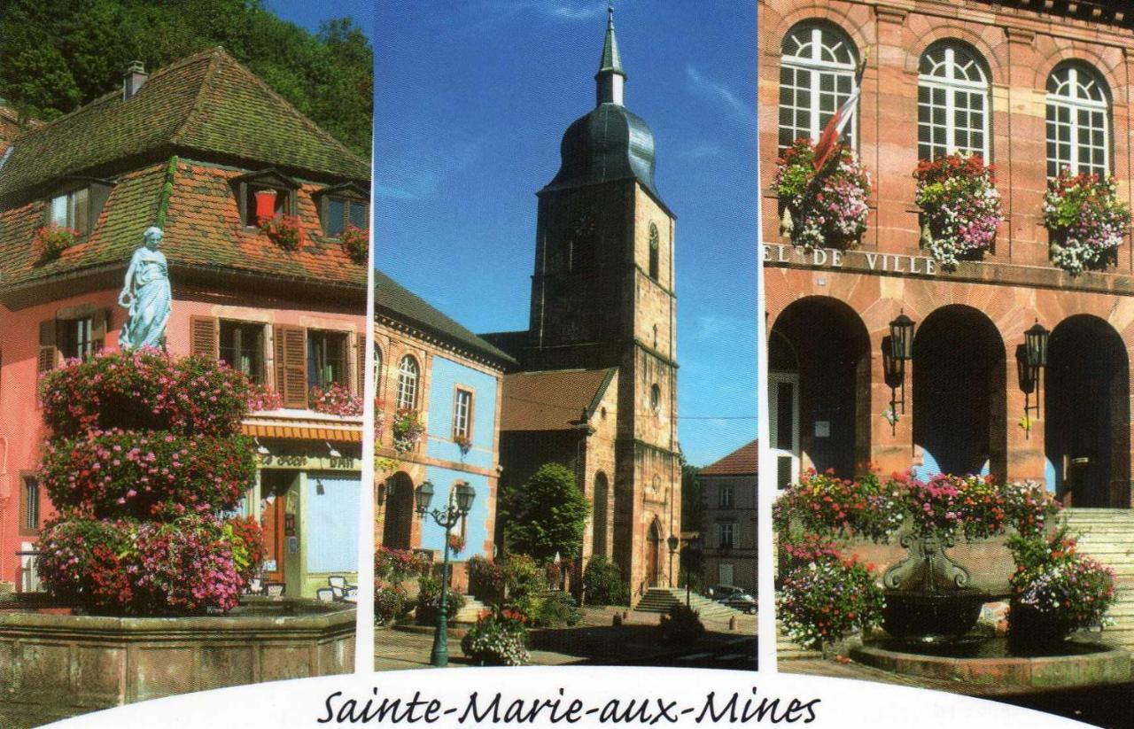 Les Lilas Sainte-Marie-aux-Mines Kültér fotó